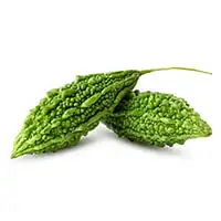 Bitter Melon